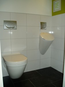 toilet-225x300